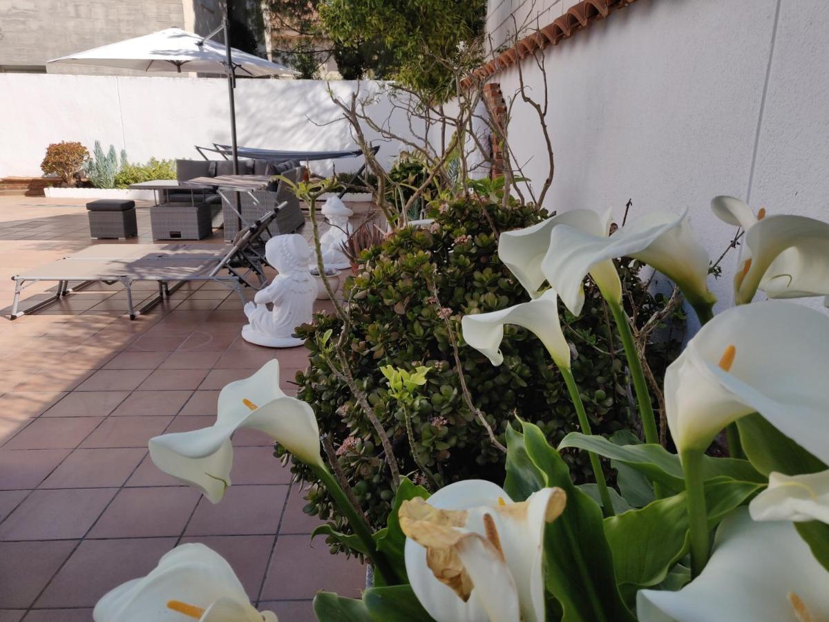 Apartamentos R66 Caceres Exterior photo